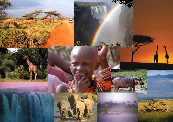 african-montage